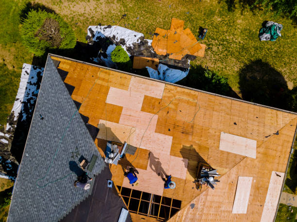 Best Roof Gutter Cleaning  in Newberry, SC